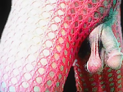 0259 crossdresser slideshow red Nylons Catsuit Nylonboy nude