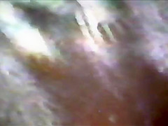 70's interracial the black wish