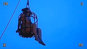 912 Live Feed - Insex