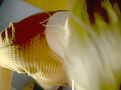 Active Sucking Of A Member Of The Asmr  Oral Cum In Mouth Blowjob In Pov