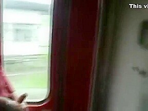 Amateur Blowjob In a Train Full of People