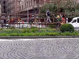 Asses on show in public