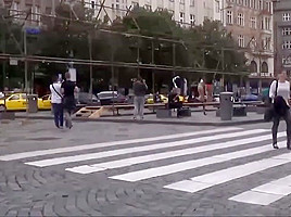 Asses on show in public