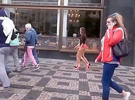 Asses on show in public