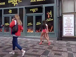 Asses on show in public