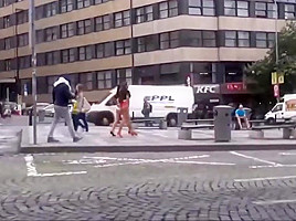 Asses on show in public