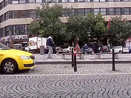 Asses on show in public