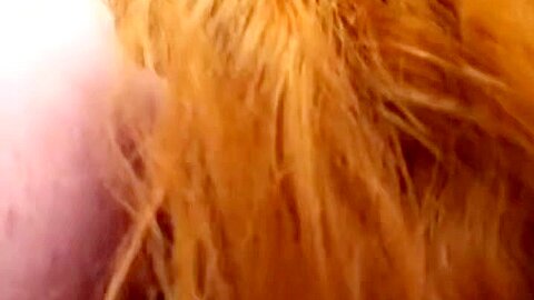 Astonishing Adult Video Big Dick New Pretty One