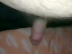 BEARS BJ