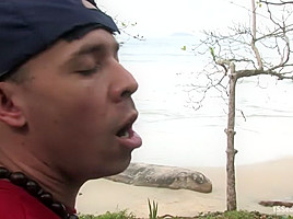 BRAZIL BONUS UPDATE Transexual Fantasy Island