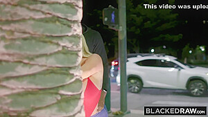 Big Ass And Bbc - Julie Cash
