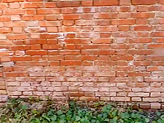 Bitch Bound Visting Old House