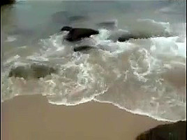 Brasilian Sex On The Beach
