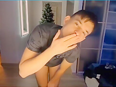 Bros Putting Up The Christmas Tree Boys Porn