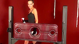 Brunette Hardcore Monica Cleans
