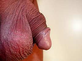 Bulgari 22 Foreskin Play