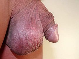 Bulgari 22 Foreskin Play