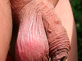 Bulgari 22 Foreskin Play