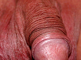 Bulgari 22 Foreskin Play