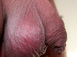 Bulgari 22 Foreskin Play
