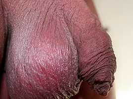 Bulgari 22 Foreskin Play