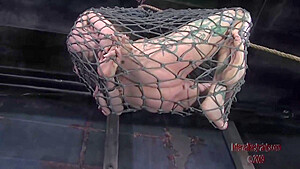Caught By The Net