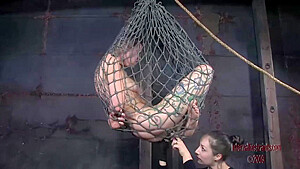 Caught By The Net