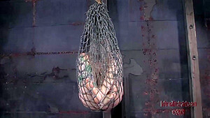 Caught By The Net