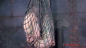 Caught By The Net
