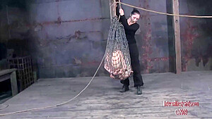 Caught By The Net