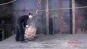 Caught By The Net