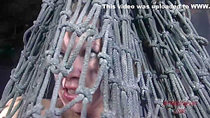Caught By The Net