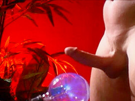 Cock-and-ball-2
