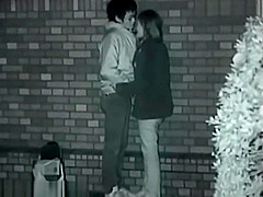 Couples making love outside