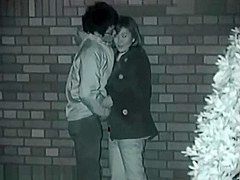 Couples making love outside