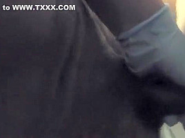 Crazy Ass, Interracial porn movie