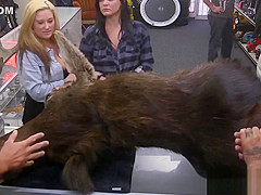Cuties earn some money by sharing a cock in the pawnshop