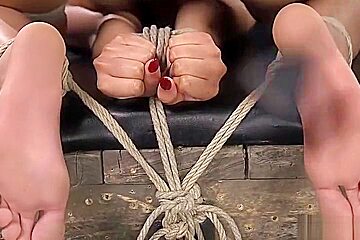 Ebony slave newbie whipped in bondage