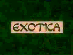 Electra 03 - Exotica