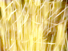 Flavia Vulva - Altr?¶misches Lotterleben (1991)