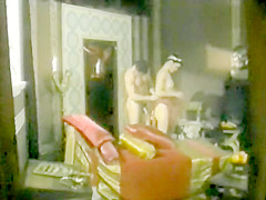 Flavia Vulva - Altr?¶misches Lotterleben (1991)