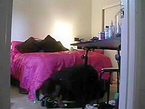 Foot Smelling4 Private subscribers in 24 hours Trial Video