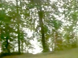 Football and wank in the Woods