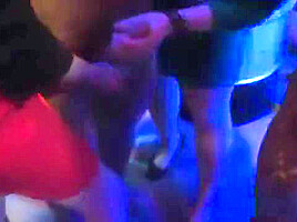 Foxy Kittens Get Entirely Insane And Naked At Hardcore Party