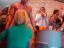 Foxy Kittens Get Entirely Insane And Naked At Hardcore Party