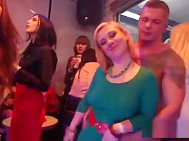 Foxy Kittens Get Entirely Insane And Naked At Hardcore Party