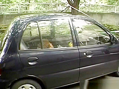Group blowjobs on street