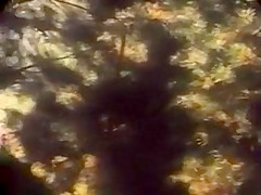 Hairy Horny Vintage Redhead Lisa Fucked In Woods