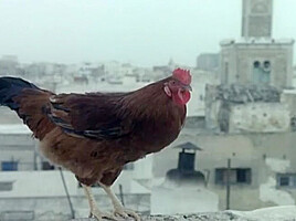 Halfaouine Boy Of The Terraces (1990)