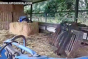 Hay Bales